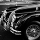 Illustration for article titled Get me some Spotted Dick!: Pictures from the All British Motor Show